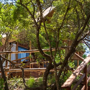 Camping Lacona Pineta Village de vacances